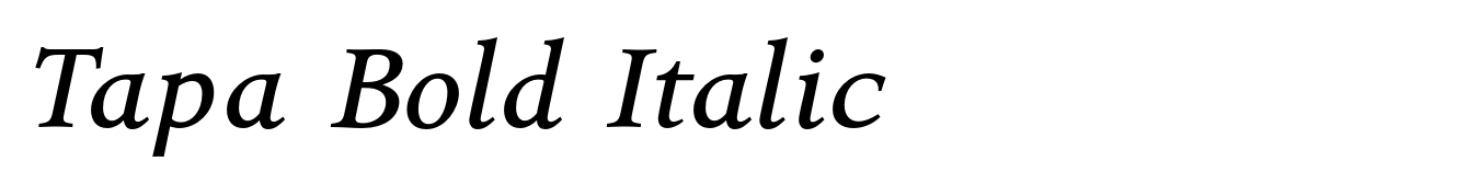 Tapa Bold Italic