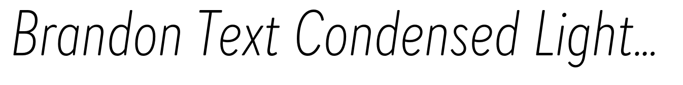 Brandon Text Condensed Light Italic