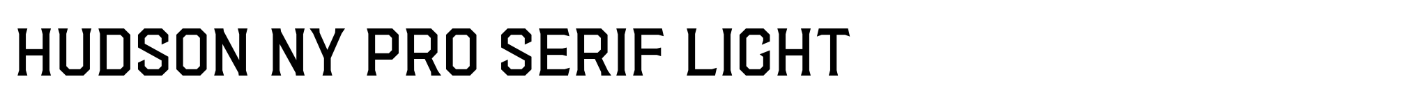 Hudson NY Pro Serif Light image