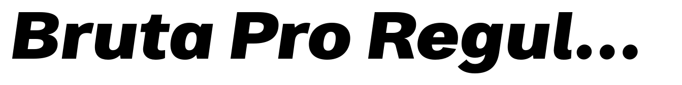 Bruta Pro Regular Extra Bold Italic