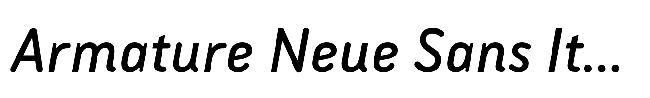 Armature Neue Sans Italic