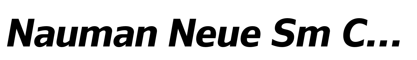 Nauman Neue Sm Condensed Bold Italic