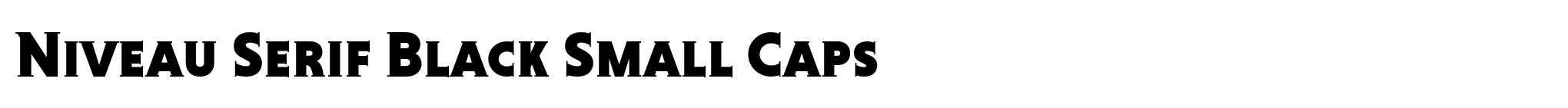 Niveau Serif Black Small Caps image