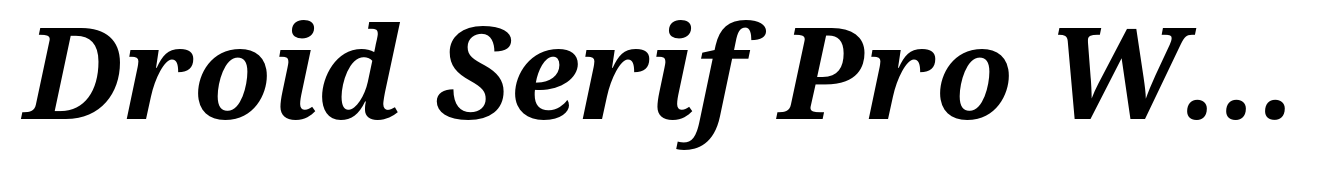 Droid Serif Pro WGL Bold Italic