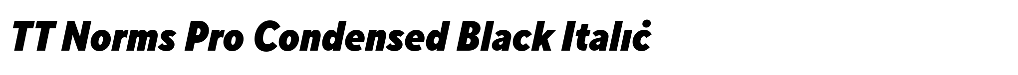 TT Norms Pro Condensed Black Italic image