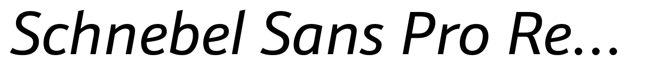 Schnebel Sans Pro Regular Italic