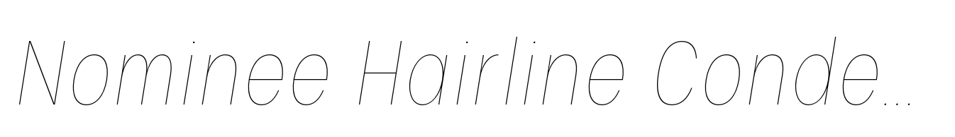 Nominee Hairline Condensed Italic