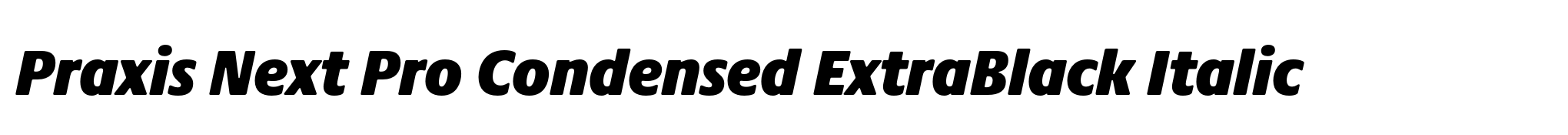Praxis Next Pro Condensed ExtraBlack Italic image
