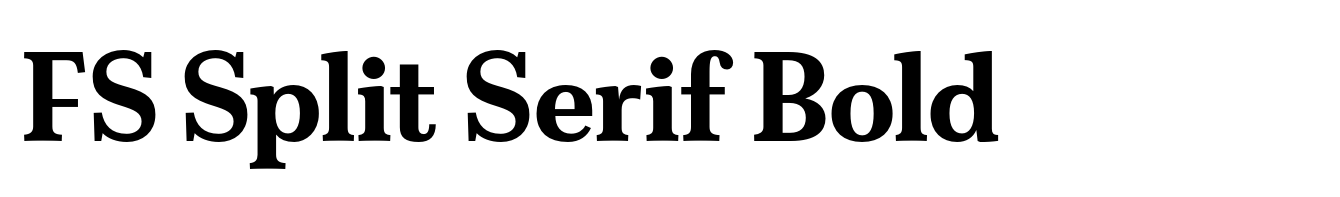 FS Split Serif Bold