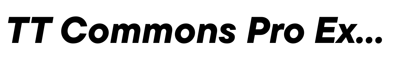 TT Commons Pro Extra Bold Italic