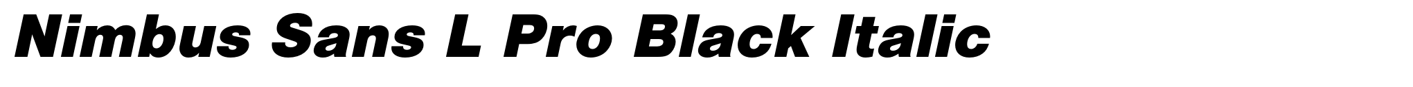 Nimbus Sans L Pro Black Italic image