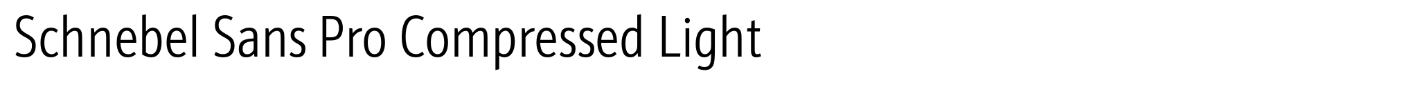 Schnebel Sans Pro Compressed Light image