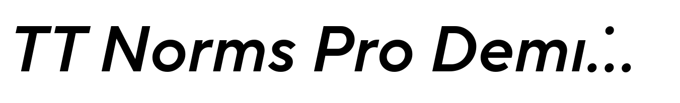 TT Norms Pro DemiBold Italic