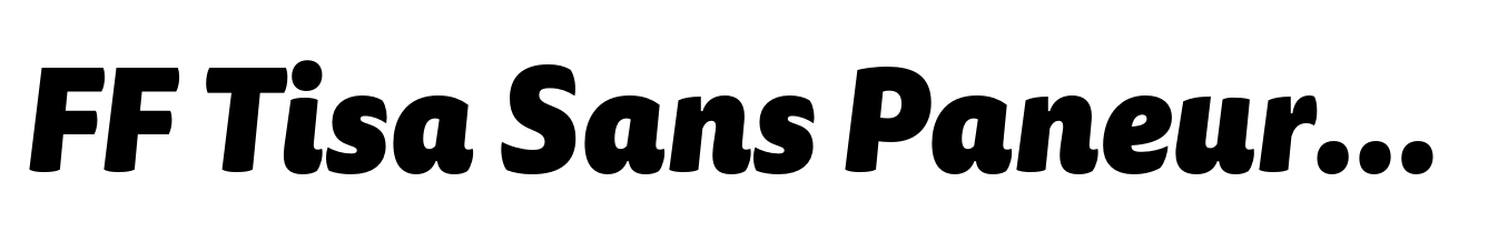 FF Tisa Sans Paneuropean Black Italic