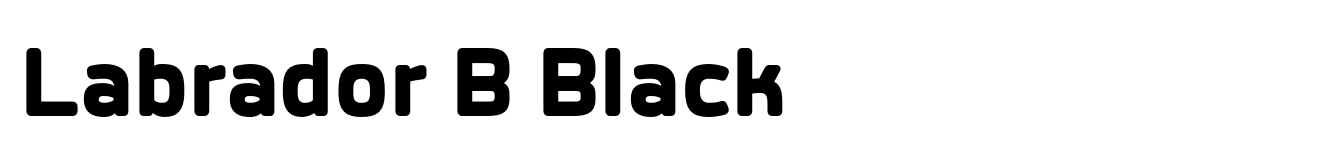 Labrador B Black