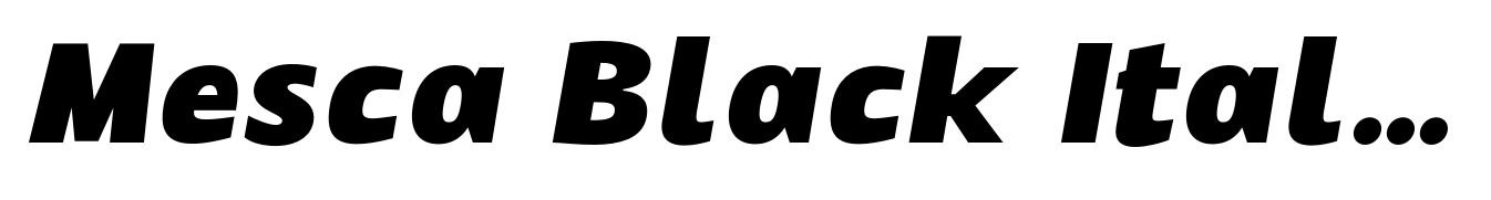 Mesca Black Italic