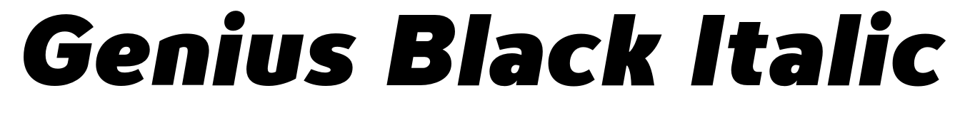 Genius Black Italic