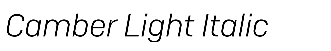 Camber Light Italic