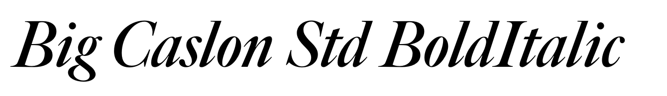 Big Caslon Std BoldItalic