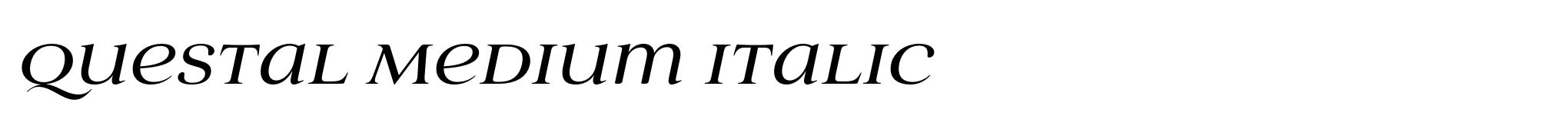 Questal Medium Italic image