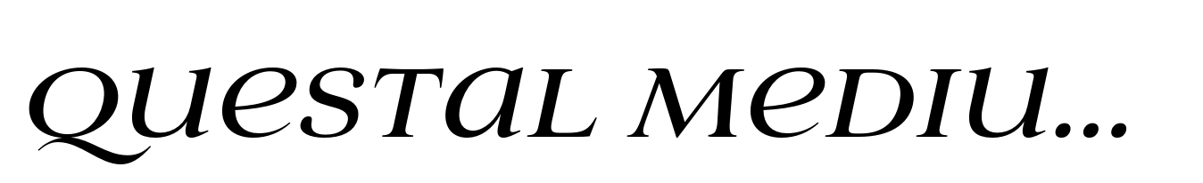 Questal Medium Italic