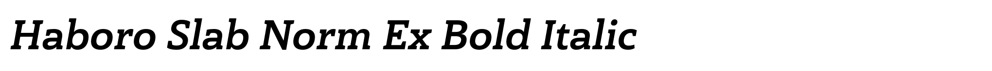 Haboro Slab Norm Ex Bold Italic image