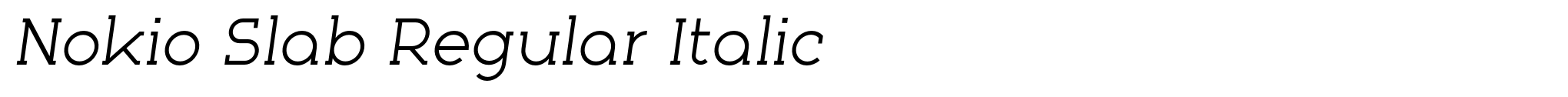 Nokio Slab Regular Italic image