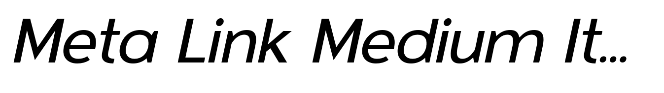 Meta Link Medium Italic