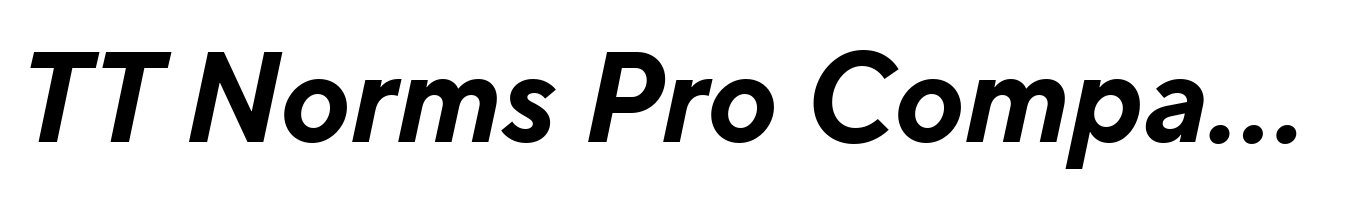 TT Norms Pro Compact Bold Italic