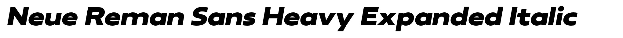 Neue Reman Sans Heavy Expanded Italic image