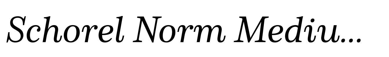 Schorel Norm Medium Italic