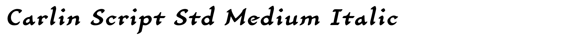 Carlin Script Std Medium Italic image