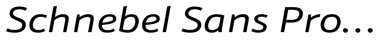 Schnebel Sans Pro Extended Italic