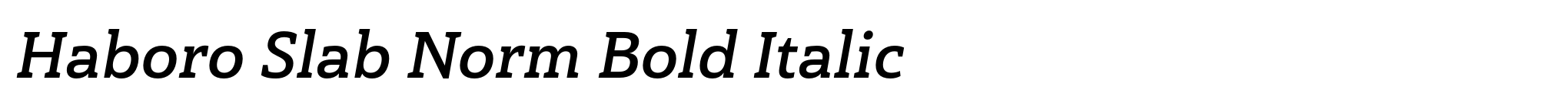 Haboro Slab Norm Bold Italic image