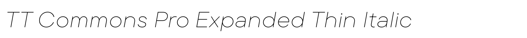 TT Commons Pro Expanded Thin Italic image