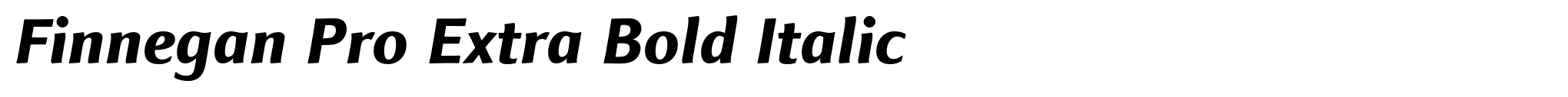Finnegan Pro Extra Bold Italic image