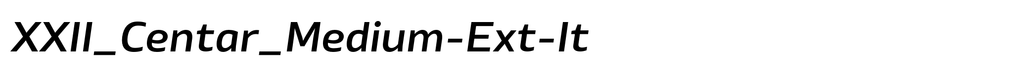 XXII_Centar_Medium-Ext-It image
