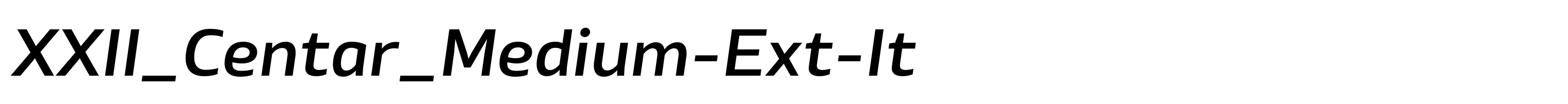 XXII_Centar_Medium-Ext-It