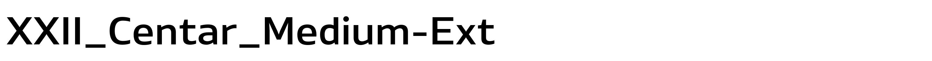 XXII_Centar_Medium-Ext