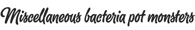 Verschiedene Bakterientopfmonster