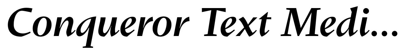 Conqueror Text Medium Italic