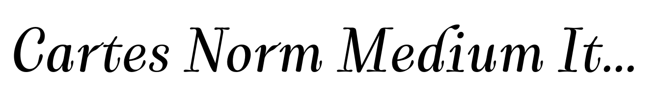 Cartes Norm Medium Italic