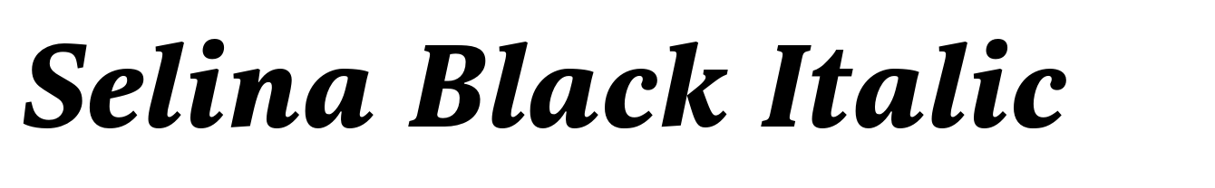 Selina Black Italic