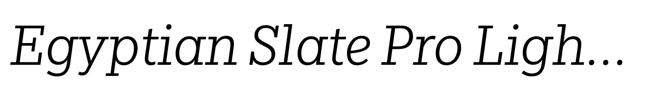 Egyptian Slate Pro Light Italic