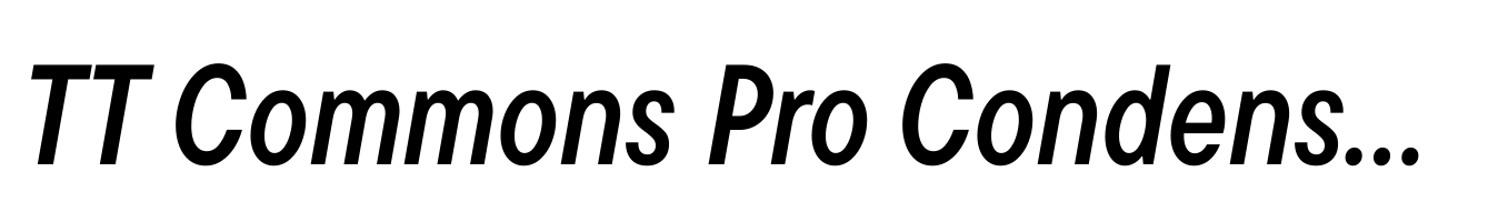 TT Commons Pro Condensed Demi Bold Italic