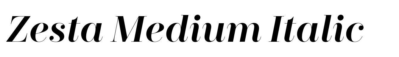Zesta Medium Italic