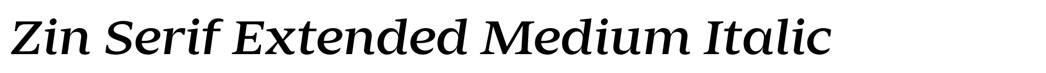 Zin Serif Extended Medium Italic image