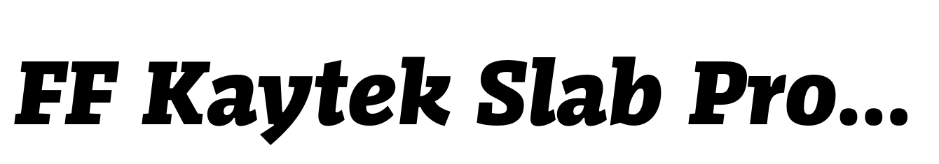 FF Kaytek Slab Pro Black Italic