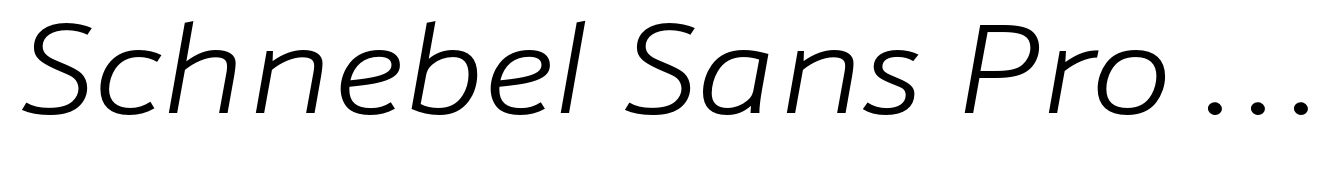 Schnebel Sans Pro Extended Light Italic