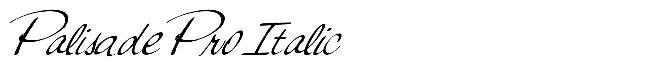 Palisade Pro Italic